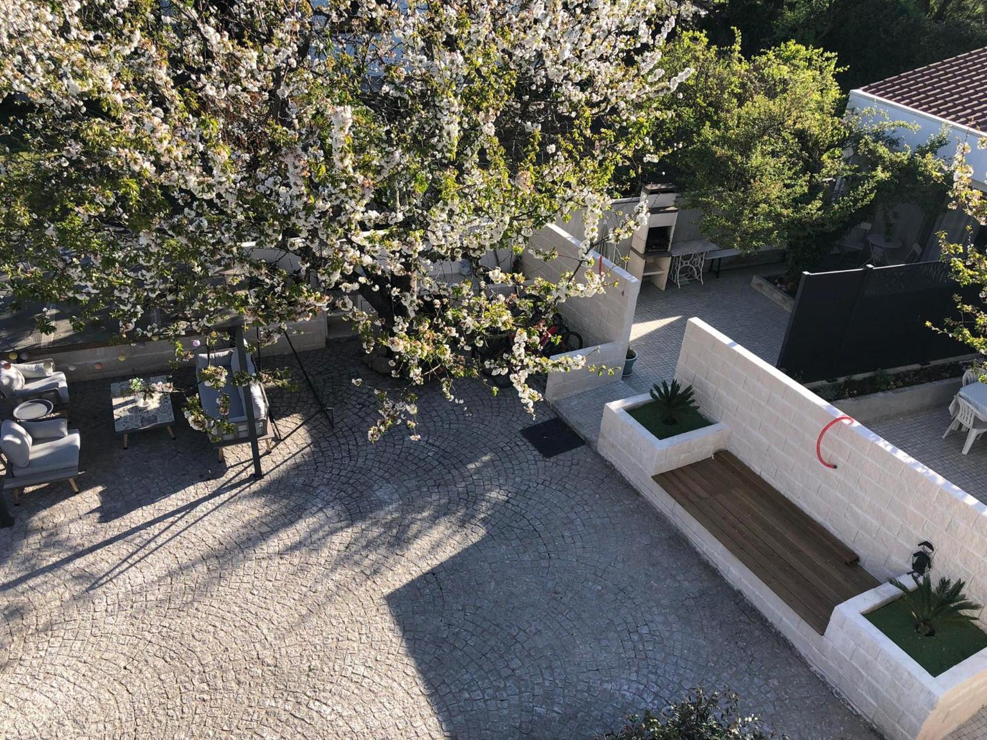 Villa Casa Da Avo Olinda Góis Esterno foto