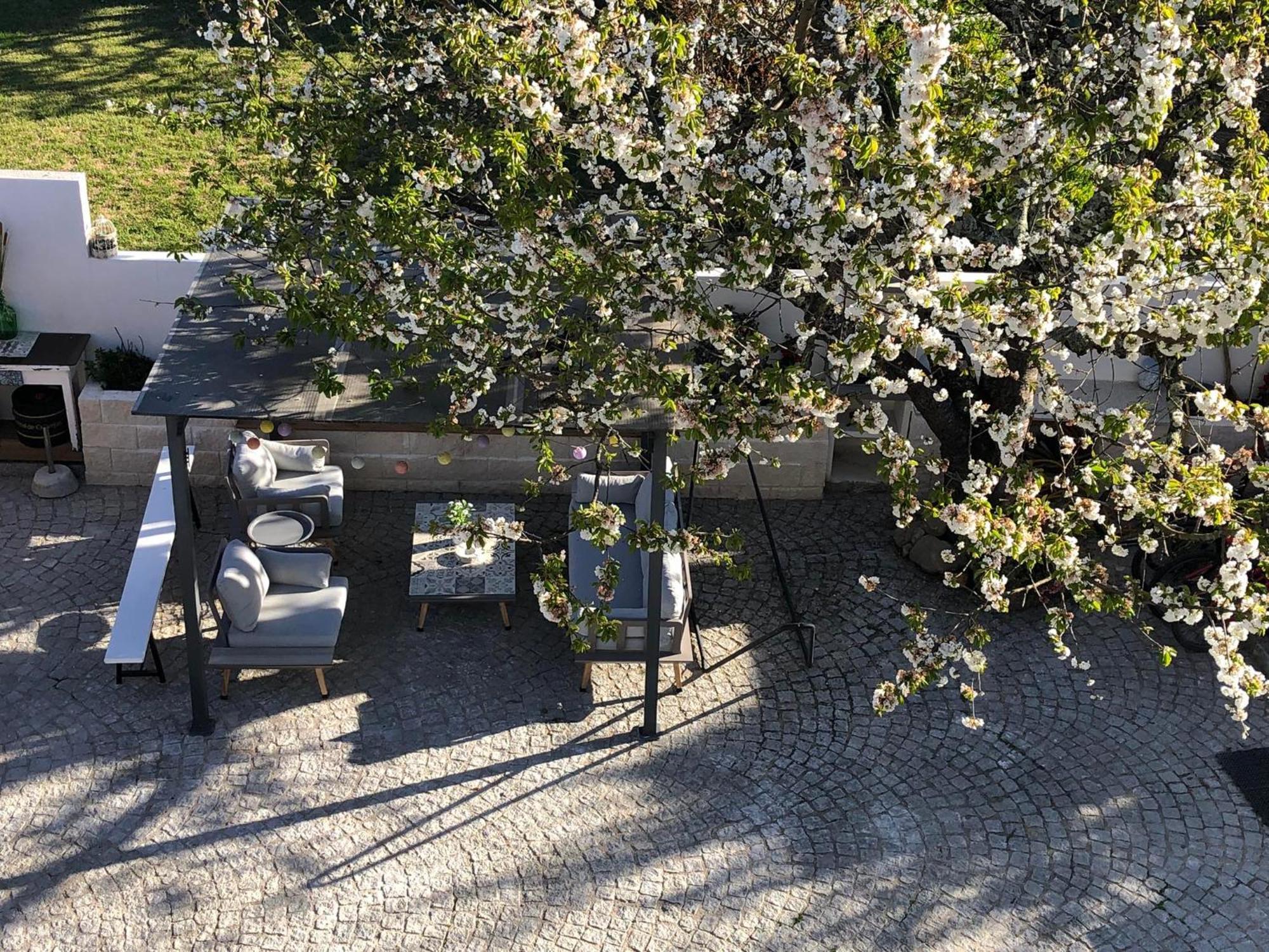 Villa Casa Da Avo Olinda Góis Esterno foto